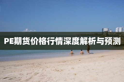 PE期货价格行情深度解析与预测