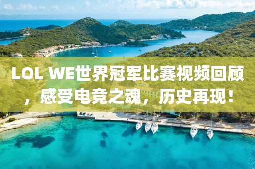 LOL WE世界冠军比赛视频回顾，感受电竞之魂，历史再现！