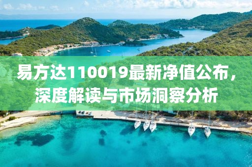 易方达110019最新净值公布,深度解读与市场洞察分析