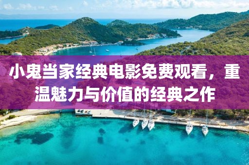 小鬼当家经典电影免费观看，重温魅力与价值的经典之作
