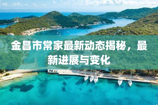 金昌市常家最新动态揭秘，最新进展与变化