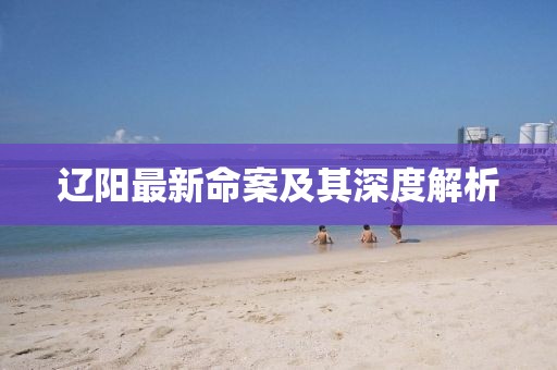 辽阳最新命案及其深度解析