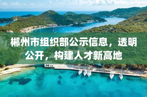 郴州市组织部公示信息，透明公开，构建人才新高地