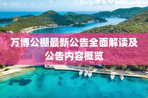 万博公棚最新公告全面解读及公告内容概览