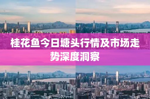 桂花鱼今日塘头行情及市场走势深度洞察
