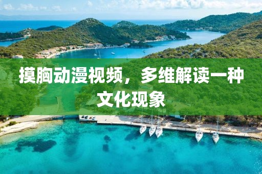 摸胸动漫视频，多维解读一种文化现象