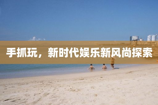 手抓玩，新时代娱乐新风尚探索