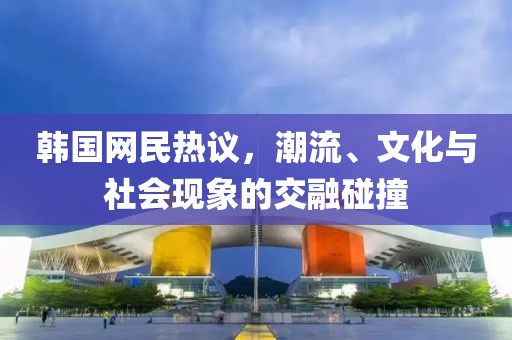 韩国网民热议，潮流、文化与社会现象的交融碰撞