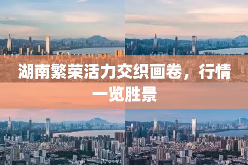 湖南繁荣活力交织画卷，行情一览胜景