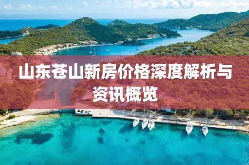 山东苍山新房价格深度解析与资讯概览