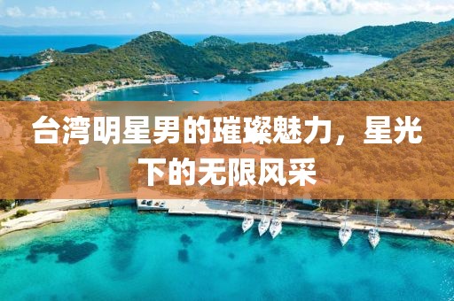台湾明星男的璀璨魅力，星光下的无限风采