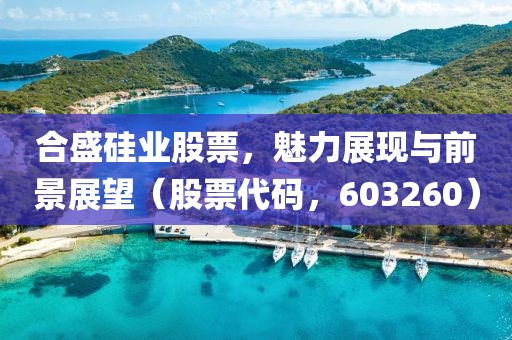 合盛硅业股票，魅力展现与前景展望（股票代码，603260）