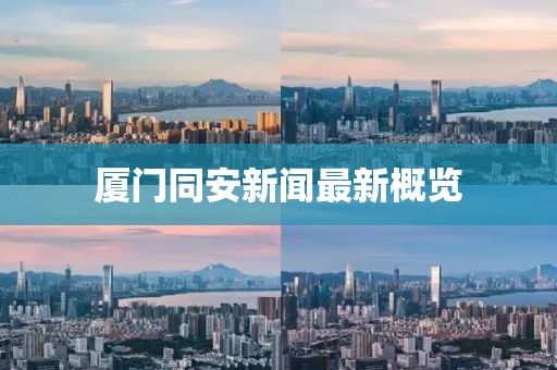 厦门同安新闻最新概览