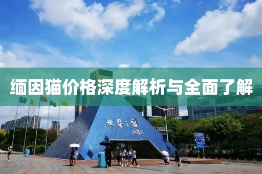 缅因猫价格深度解析与全面了解