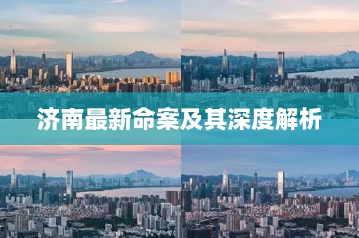 济南最新命案及其深度解析