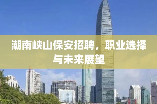 潮南峡山保安招聘，职业选择与未来展望