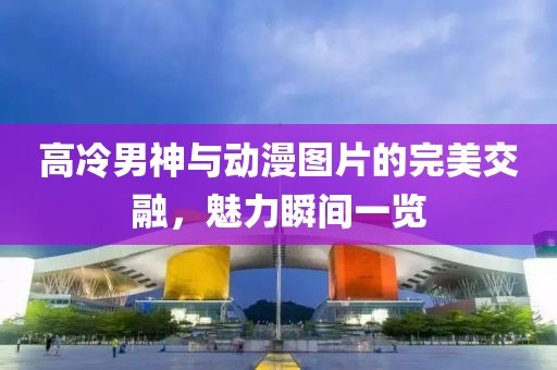 高冷男神与动漫图片的完美交融，魅力瞬间一览