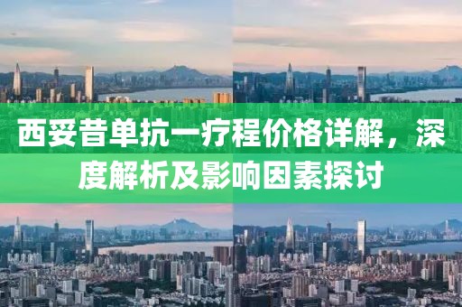 西妥昔单抗一疗程价格详解，深度解析及影响因素探讨