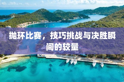 抛环比赛，技巧挑战与决胜瞬间的较量