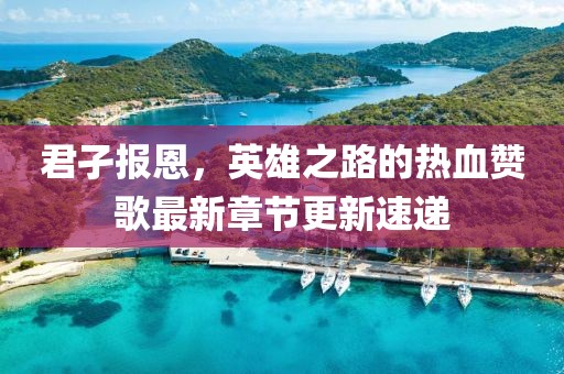 君孑报恩，英雄之路的热血赞歌最新章节更新速递