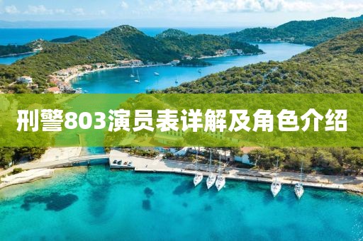 刑警803演员表详解及角色介绍