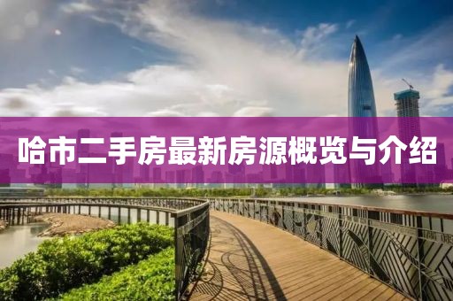 哈市二手房最新房源概览与介绍