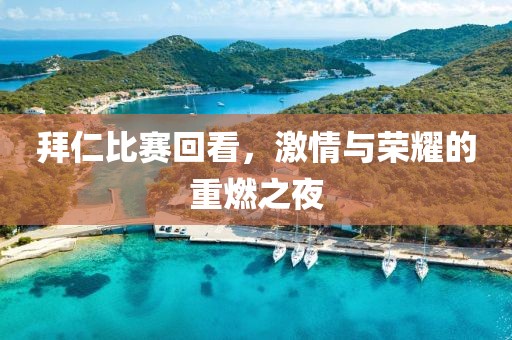 拜仁比赛回看，激情与荣耀的重燃之夜