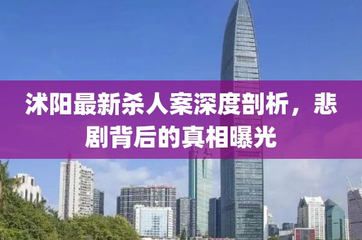 沭阳最新杀人案深度剖析，悲剧背后的真相曝光