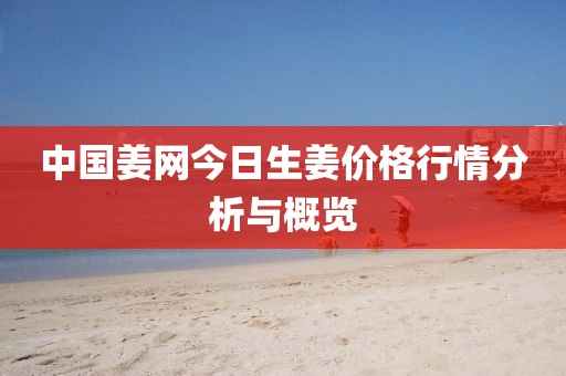 中国姜网今日生姜价格行情分析与概览
