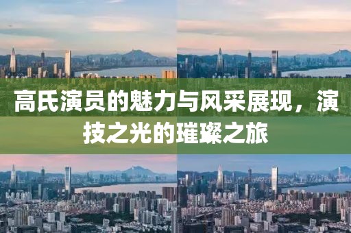 高氏演员的魅力与风采展现，演技之光的璀璨之旅