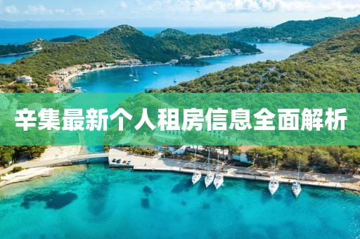 辛集最新个人租房信息全面解析