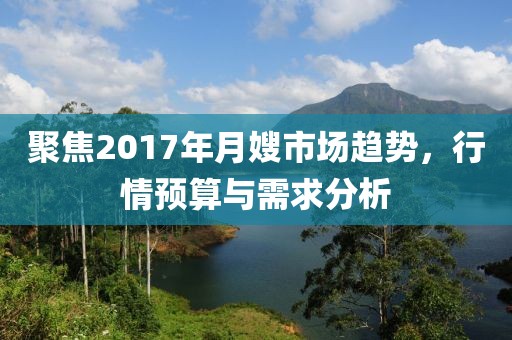 聚焦2017年月嫂市场趋势，行情预算与需求分析