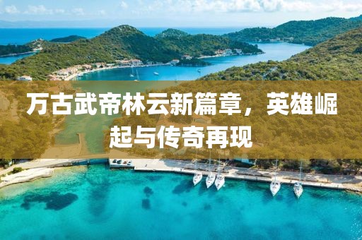 万古武帝林云新篇章，英雄崛起与传奇再现