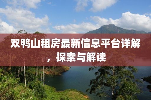 双鸭山租房最新信息平台详解，探索与解读