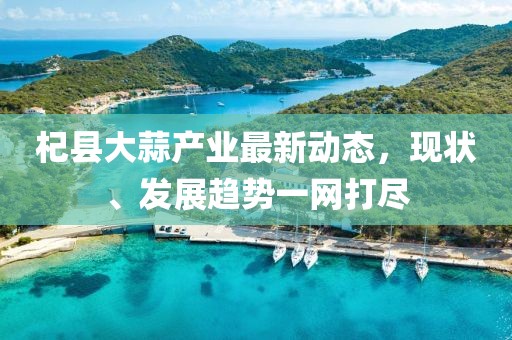 杞县大蒜产业最新动态，现状、发展趋势一网打尽