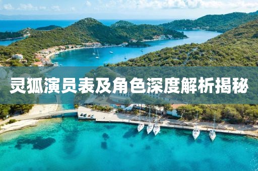 灵狐演员表及角色深度解析揭秘