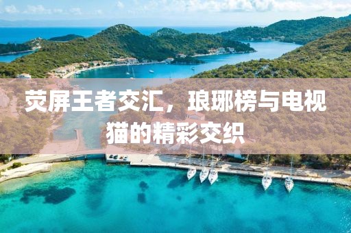 荧屏王者交汇，琅琊榜与电视猫的精彩交织