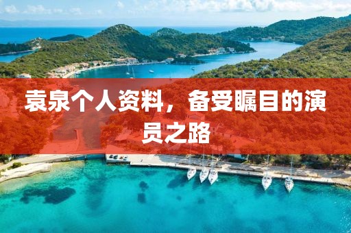 袁泉个人资料，备受瞩目的演员之路