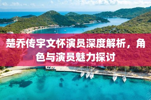 楚乔传宇文怀演员深度解析，角色与演员魅力探讨