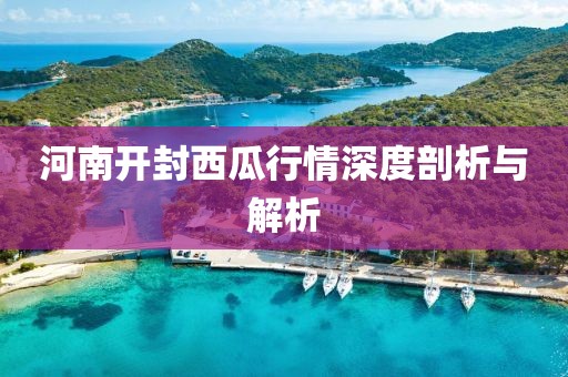 河南开封西瓜行情深度剖析与解析