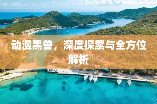 动漫黑兽，深度探索与全方位解析