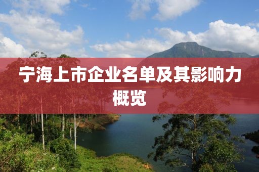 宁海上市企业名单及其影响力概览