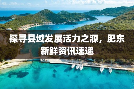 探寻县域发展活力之源，肥东新鲜资讯速递