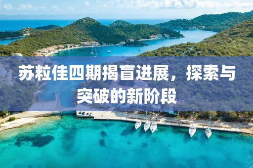 苏粒佳四期揭盲进展，探索与突破的新阶段