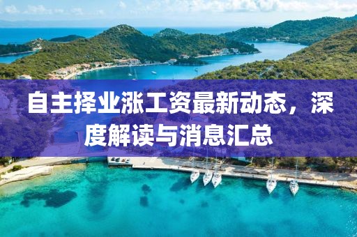 自主择业涨工资最新动态，深度解读与消息汇总
