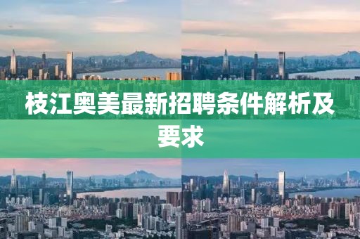 枝江奥美最新招聘条件解析及要求