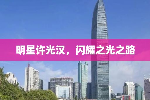明星许光汉，闪耀之光之路
