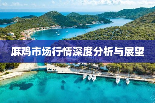 麻鸡市场行情深度分析与展望