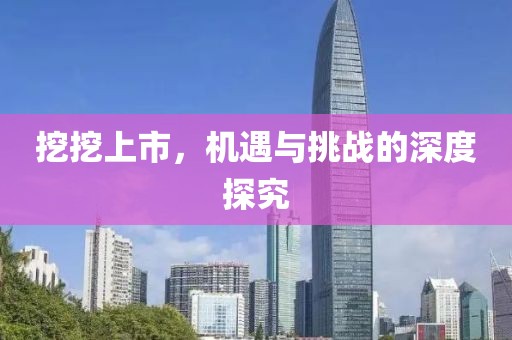 挖挖上市，机遇与挑战的深度探究