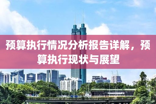 预算执行情况分析报告详解，预算执行现状与展望